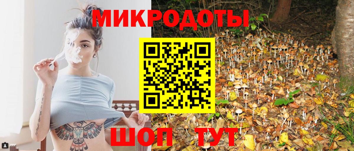 Галлюциногенные грибы MAGIC MUSHROOMS  Вход с VPN  Новоалтайск 