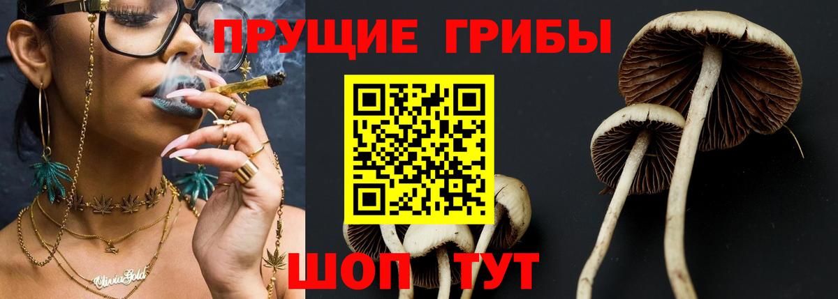 Псилоцибиновые грибы MAGIC MUSHROOMS Новоалтайск